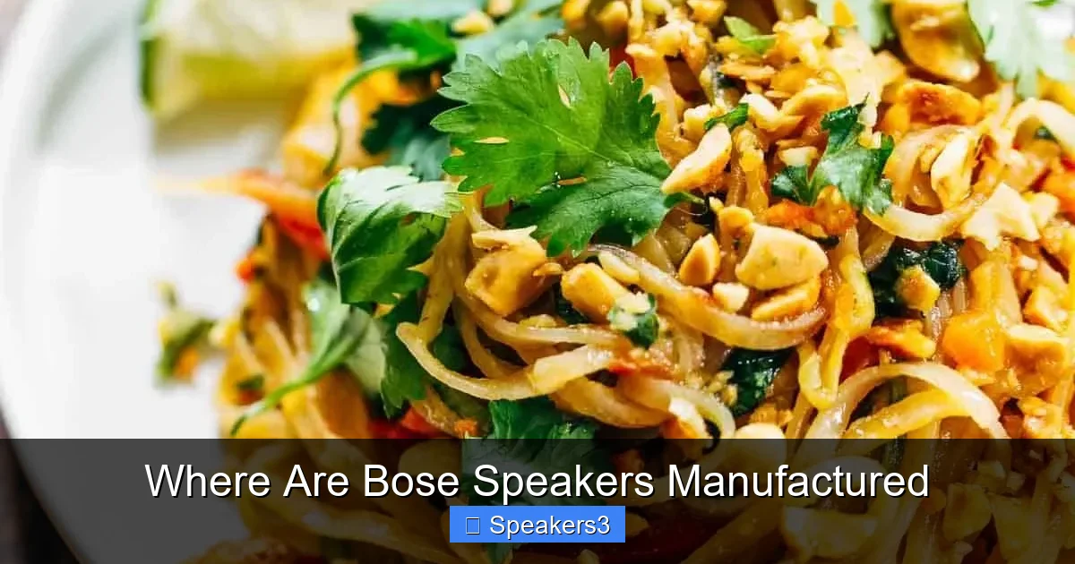 Where Are Bose Speakers Manufactured