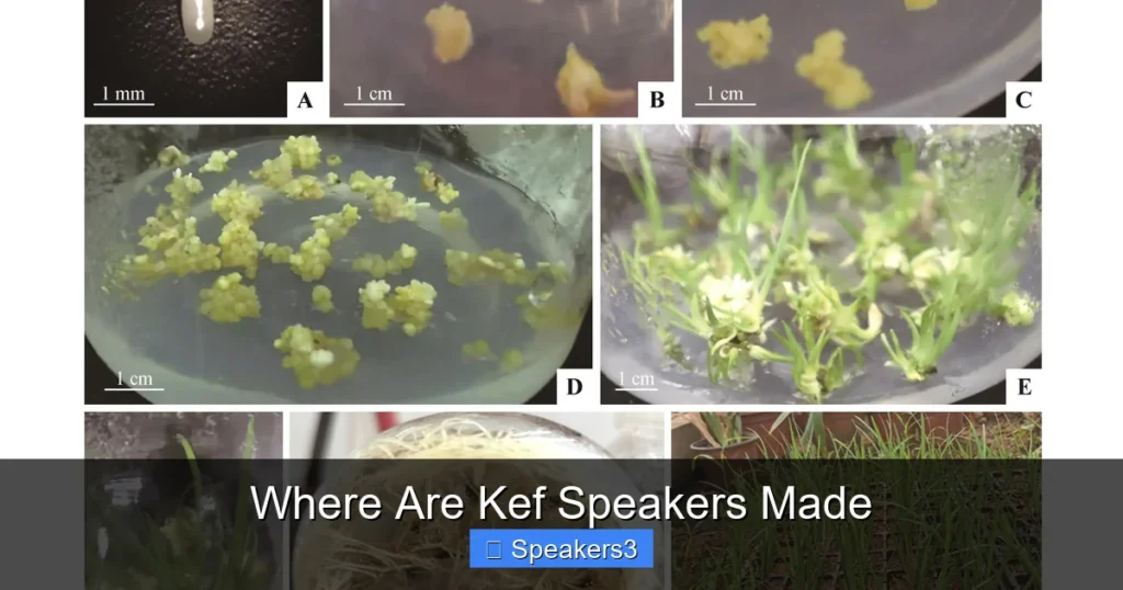 Where Are Kef Speakers Made