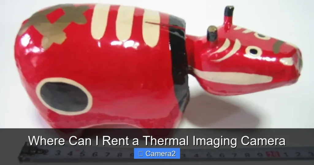Where Can I Rent a Thermal Imaging Camera