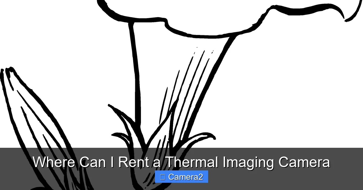Where Can I Rent a Thermal Imaging Camera