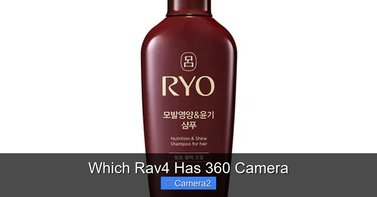 Which Rav4 Has 360 Camera