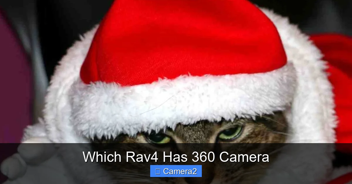 Which Rav4 Has 360 Camera