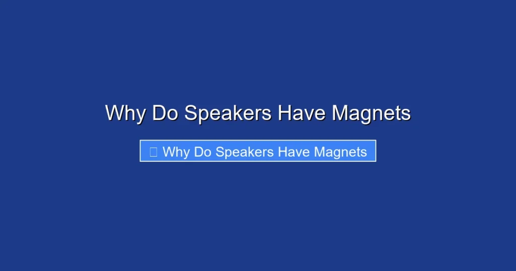 Why Do Speakers Have Magnets