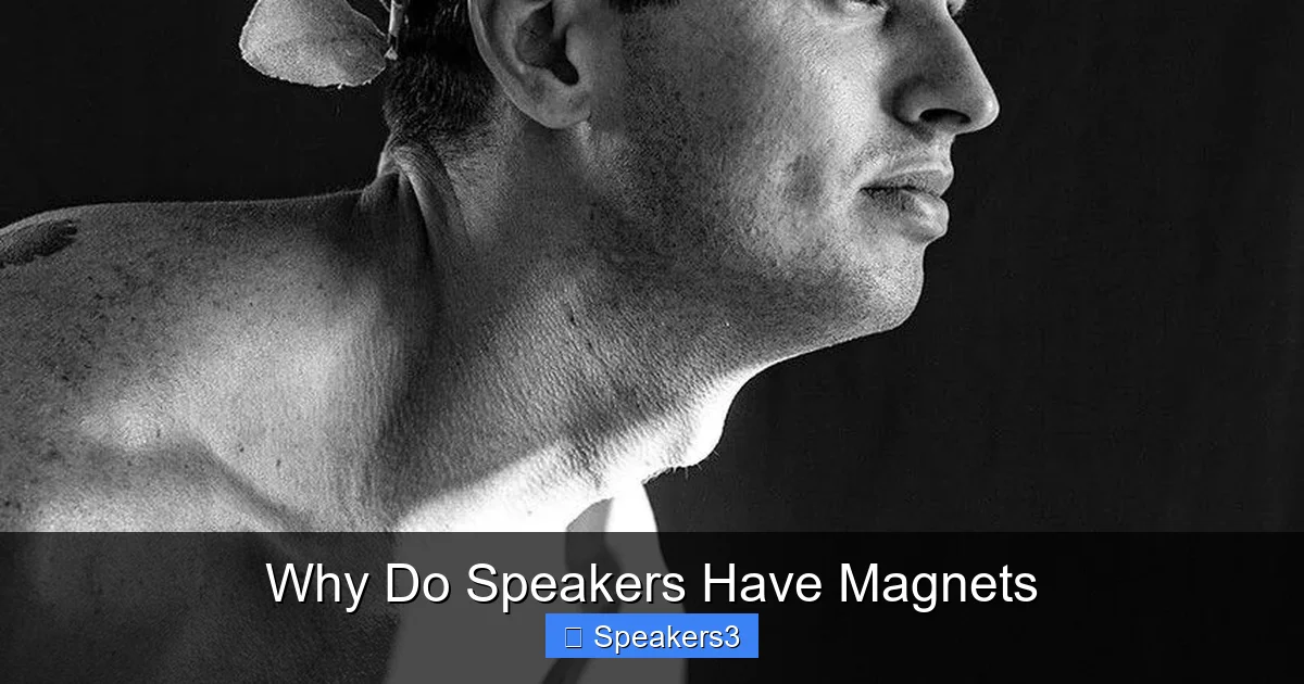 Why Do Speakers Have Magnets