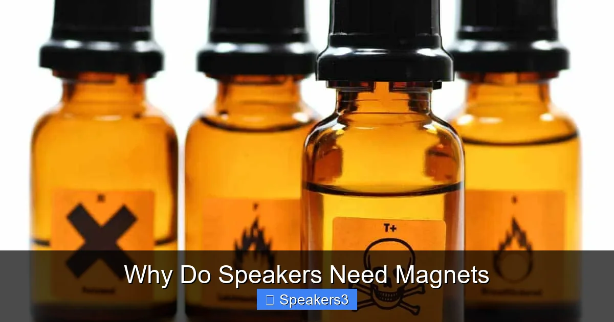Why Do Speakers Need Magnets