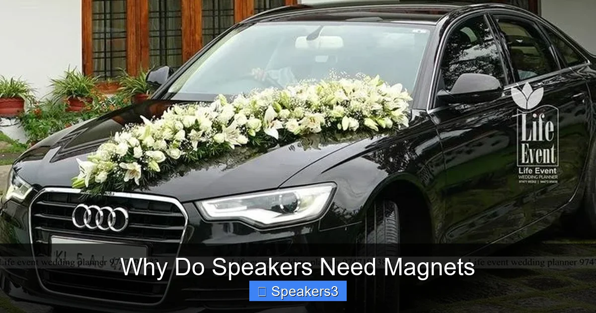 Why Do Speakers Need Magnets