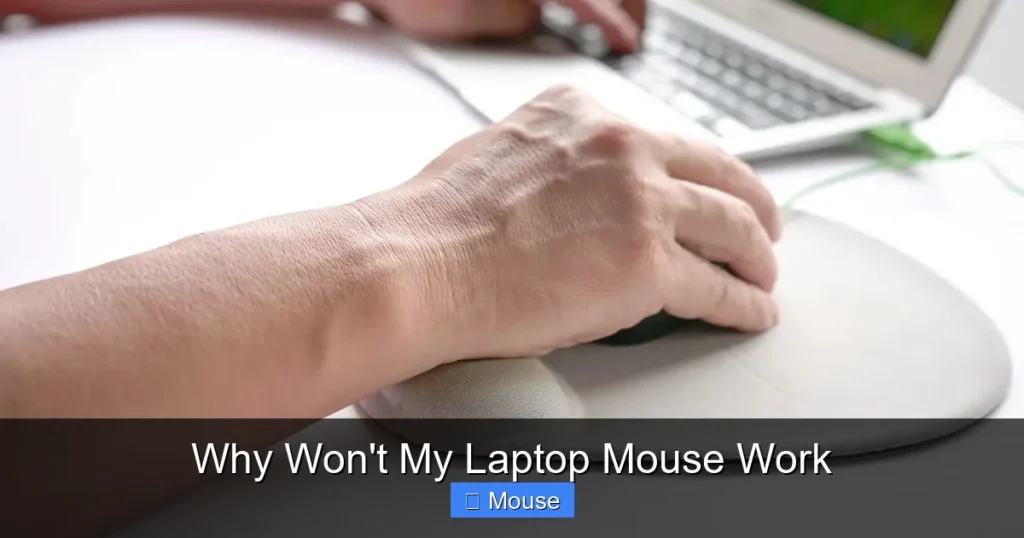 Why Won't My Laptop Mouse Work