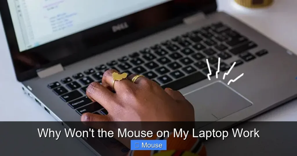 Why Won't the Mouse on My Laptop Work