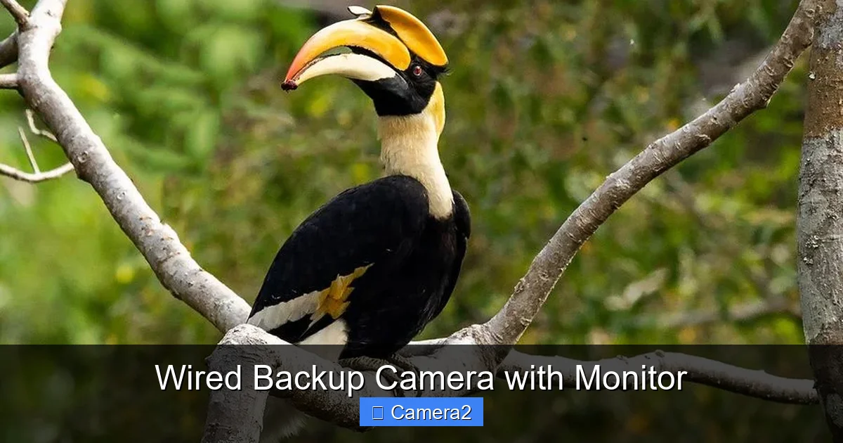 Wired Backup Camera with Monitor