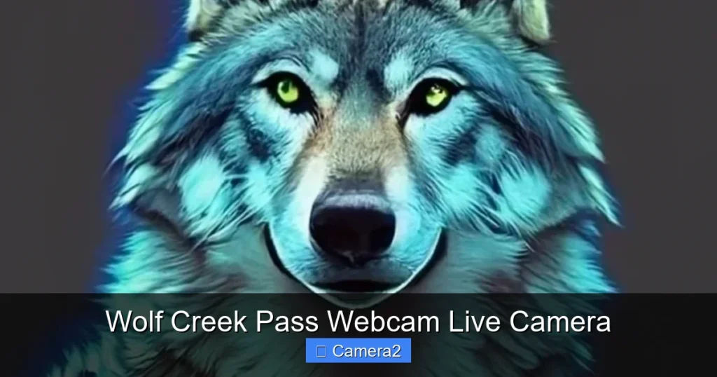 Wolf Creek Pass Webcam Live Camera