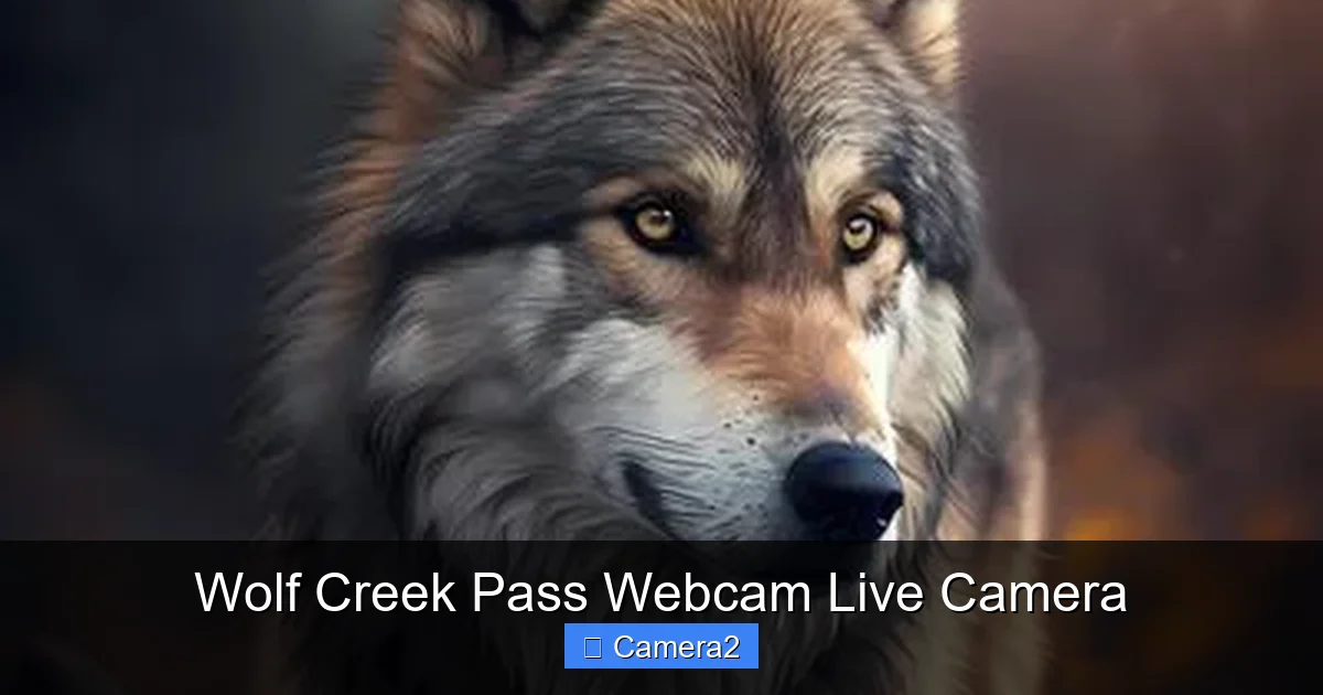 Wolf Creek Pass Webcam Live Camera