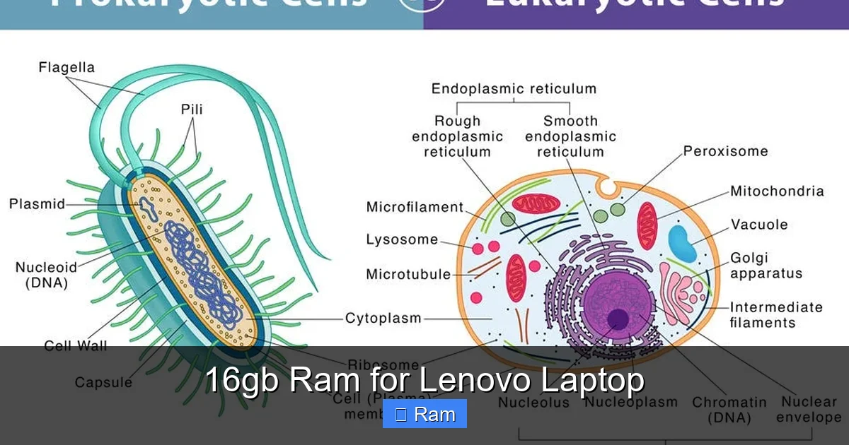 16gb Ram for Lenovo Laptop