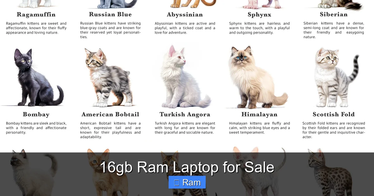 16gb Ram Laptop for Sale