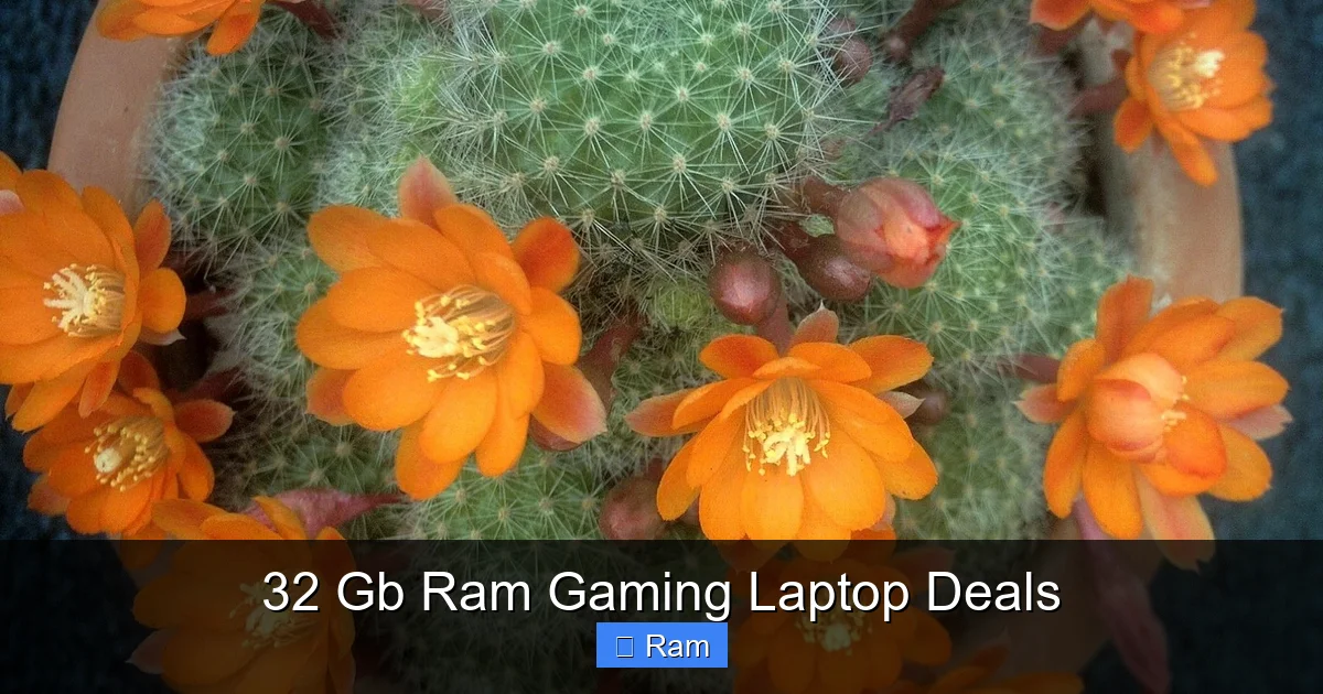 32 Gb Ram Gaming Laptop Deals