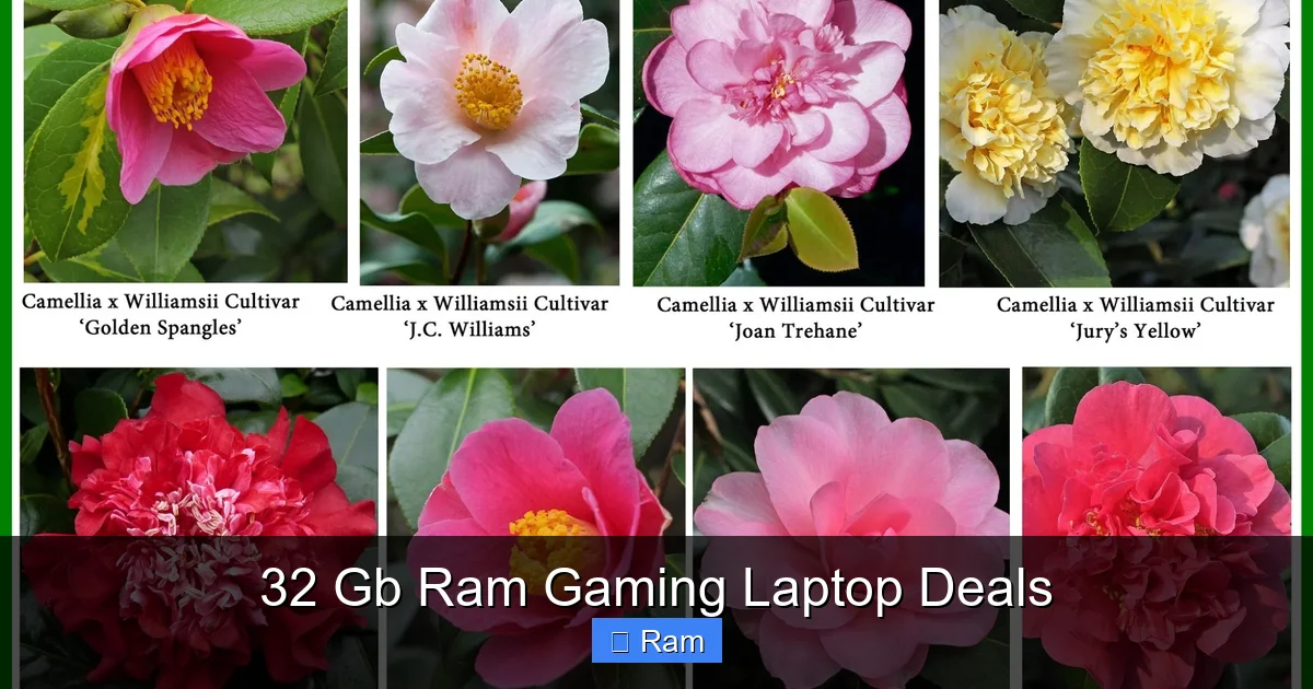 32 Gb Ram Gaming Laptop Deals