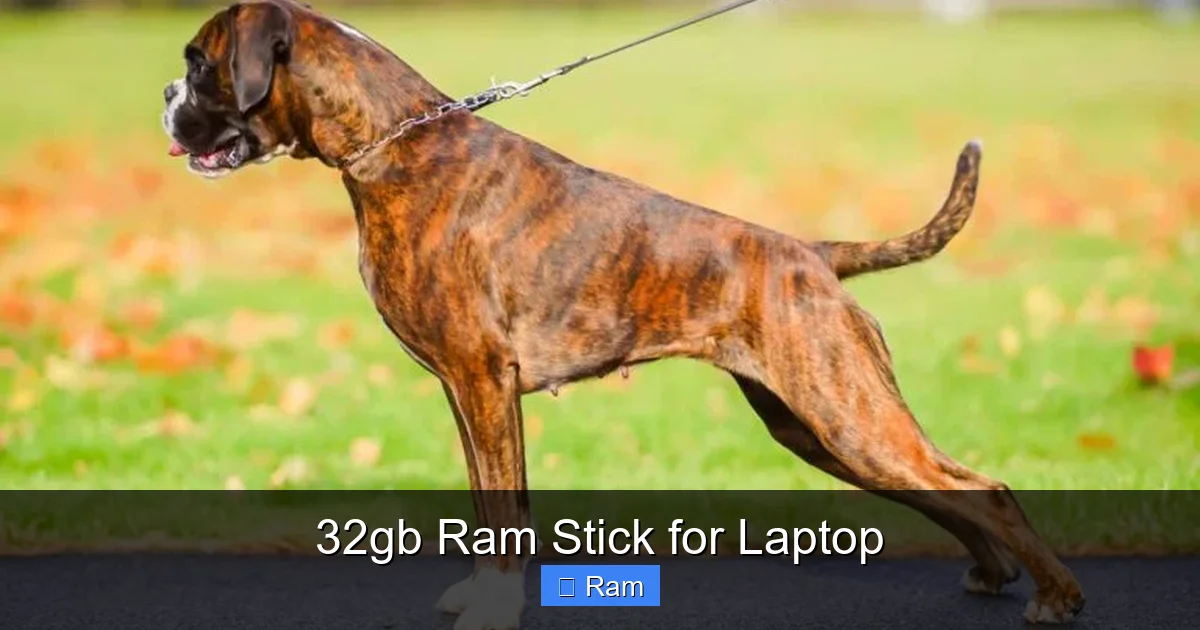 32gb Ram Stick for Laptop