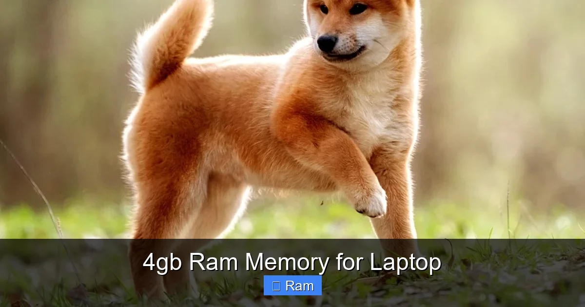 4gb Ram Memory for Laptop
