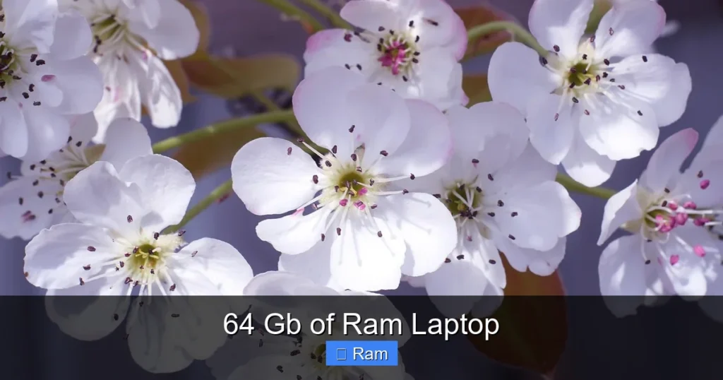 64 Gb of Ram Laptop