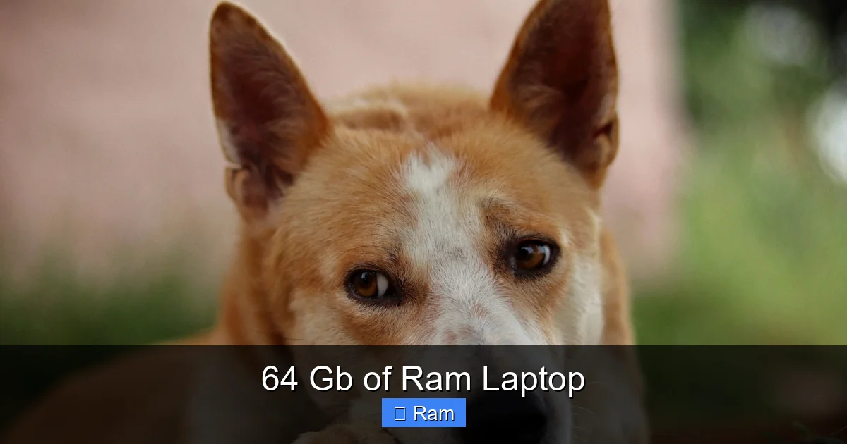 64 Gb of Ram Laptop