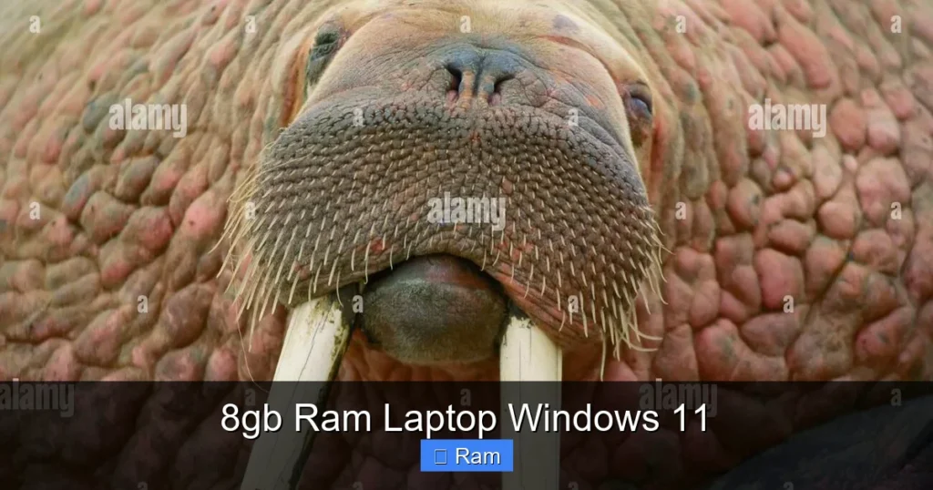 8gb Ram Laptop Windows 11