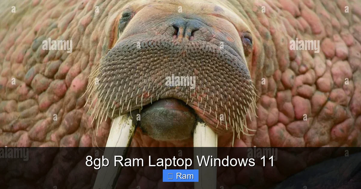 8gb Ram Laptop Windows 11