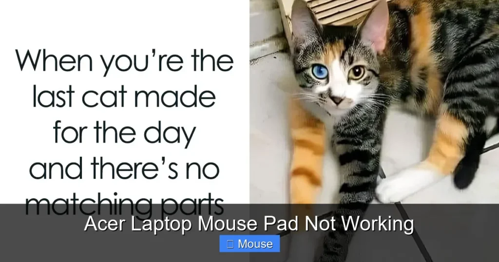 Acer Laptop Mouse Pad Not Working