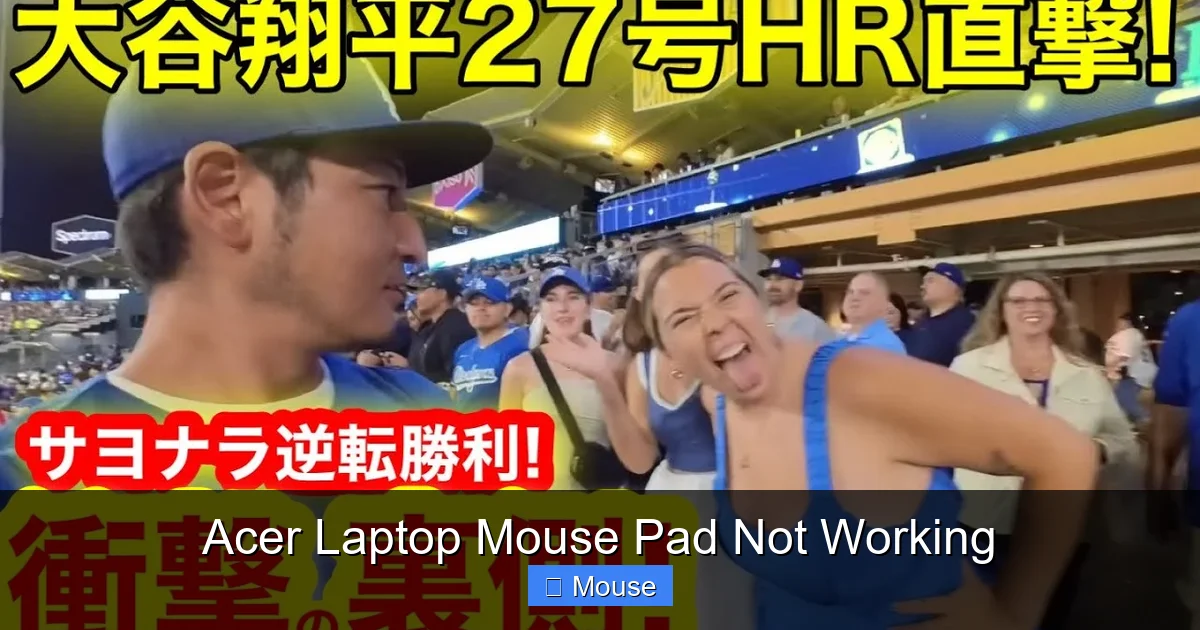 Acer Laptop Mouse Pad Not Working
