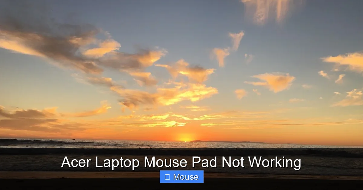 Acer Laptop Mouse Pad Not Working