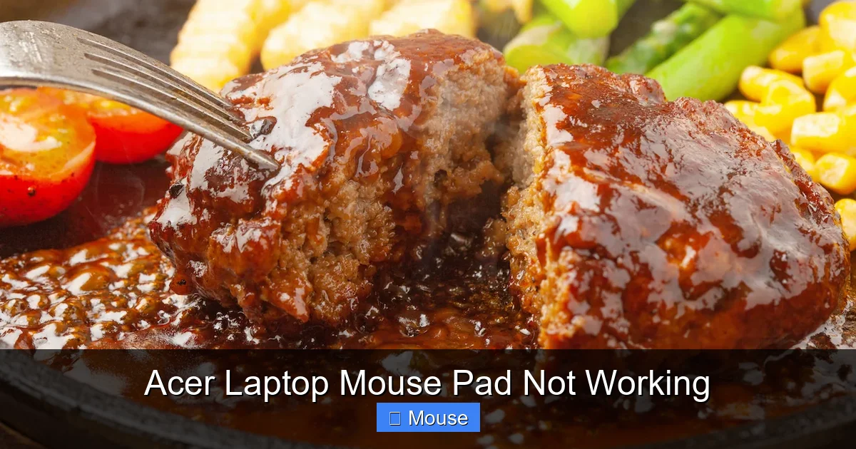 Acer Laptop Mouse Pad Not Working