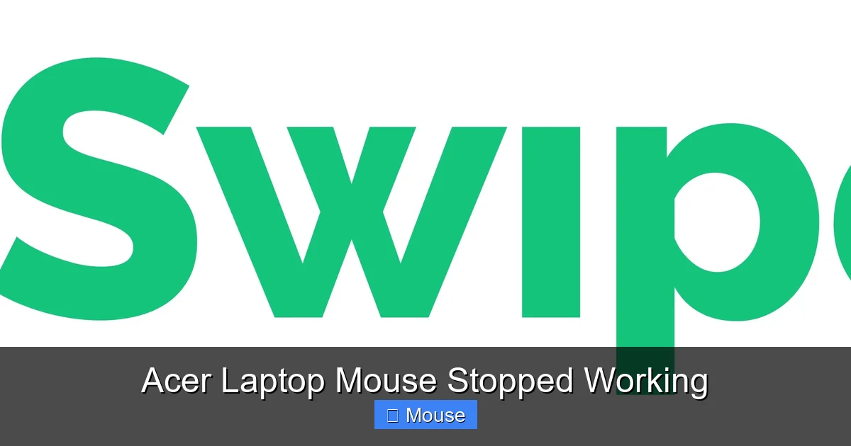 Acer Laptop Mouse Stopped Working