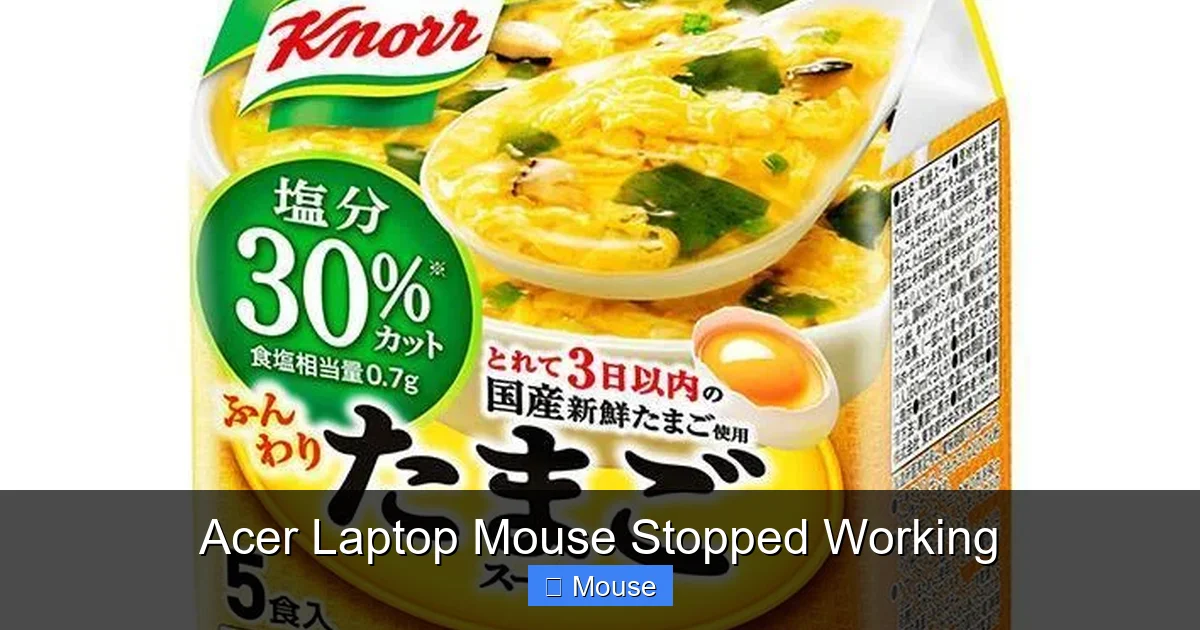 Acer Laptop Mouse Stopped Working