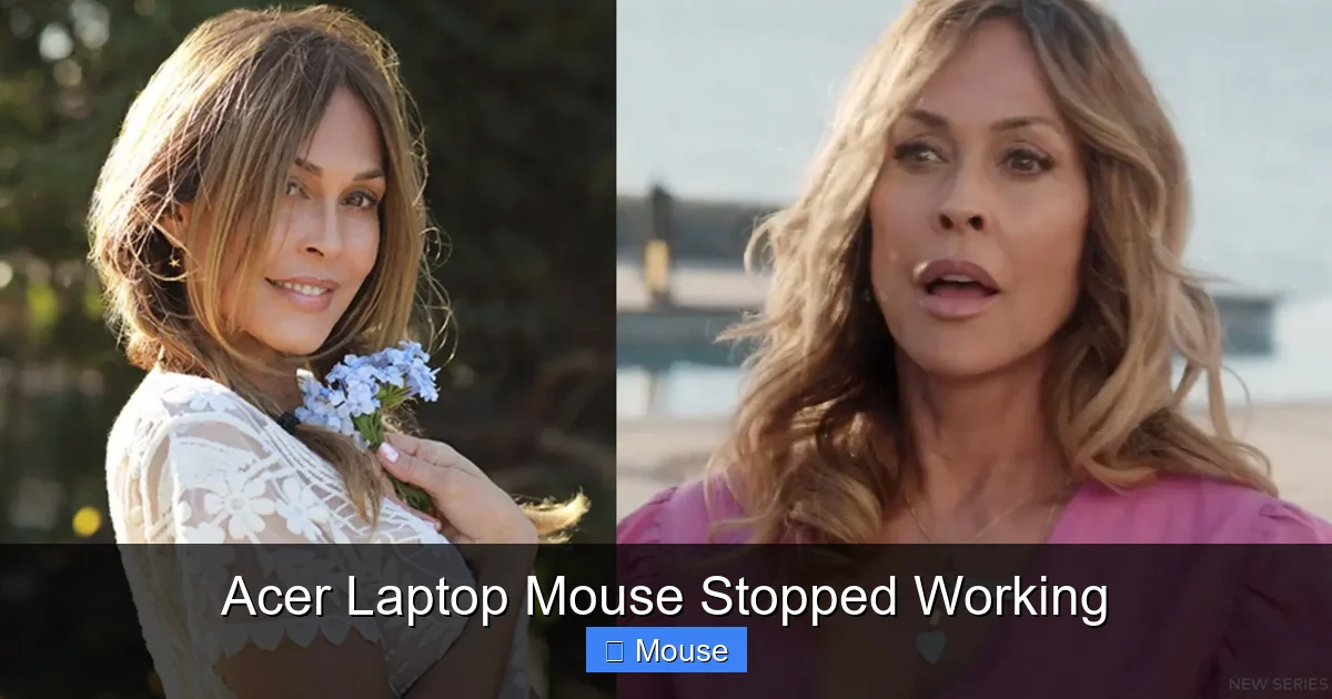 Acer Laptop Mouse Stopped Working