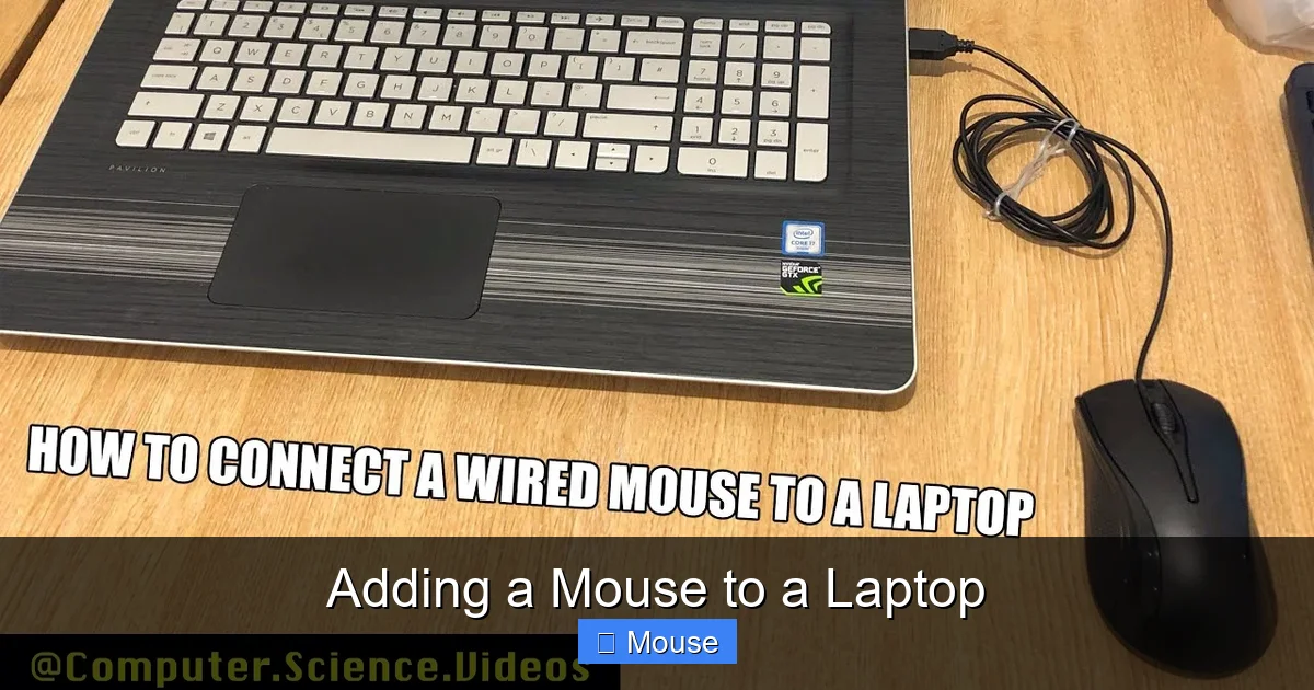 Adding a Mouse to a Laptop