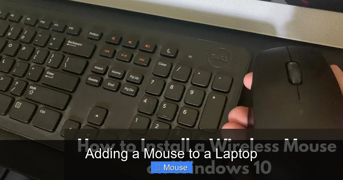 Adding a Mouse to a Laptop