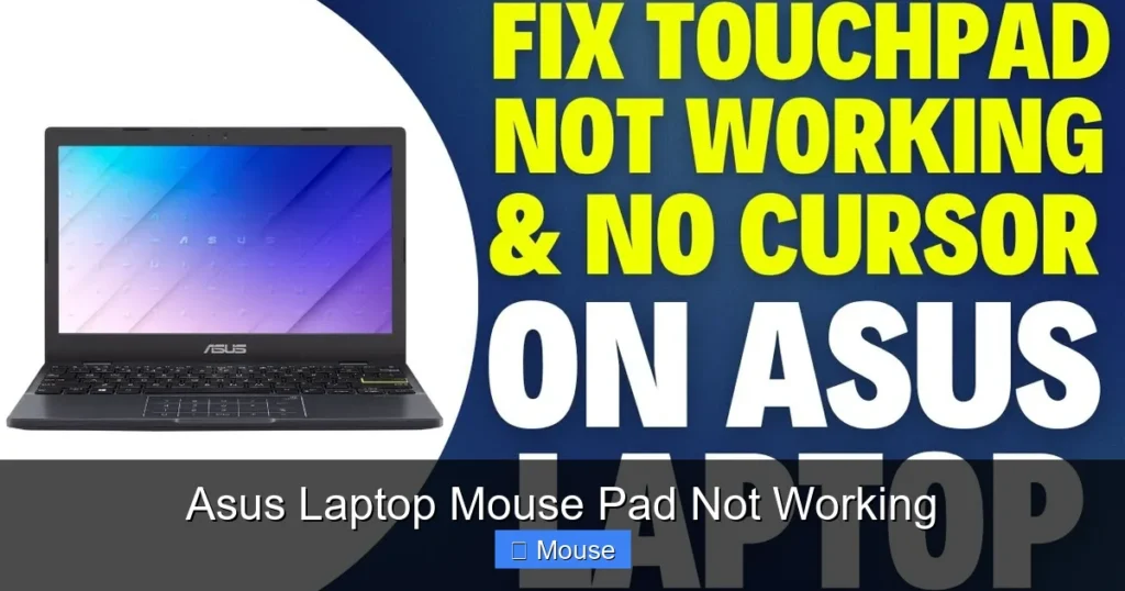Asus Laptop Mouse Pad Not Working