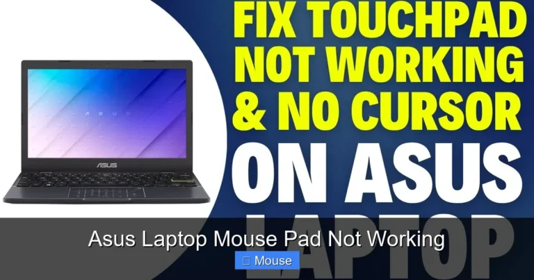 Asus Laptop Mouse Pad Not Working