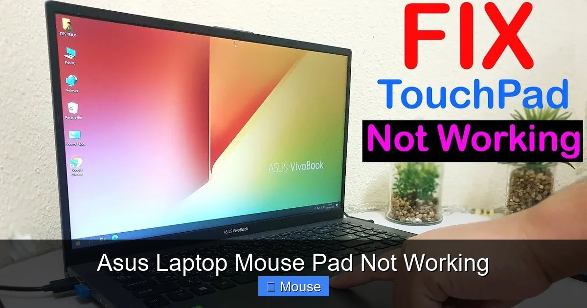 Asus Laptop Mouse Pad Not Working