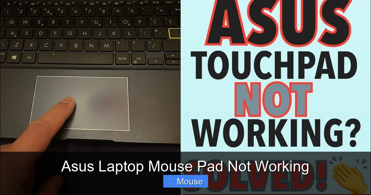 Asus Laptop Mouse Pad Not Working