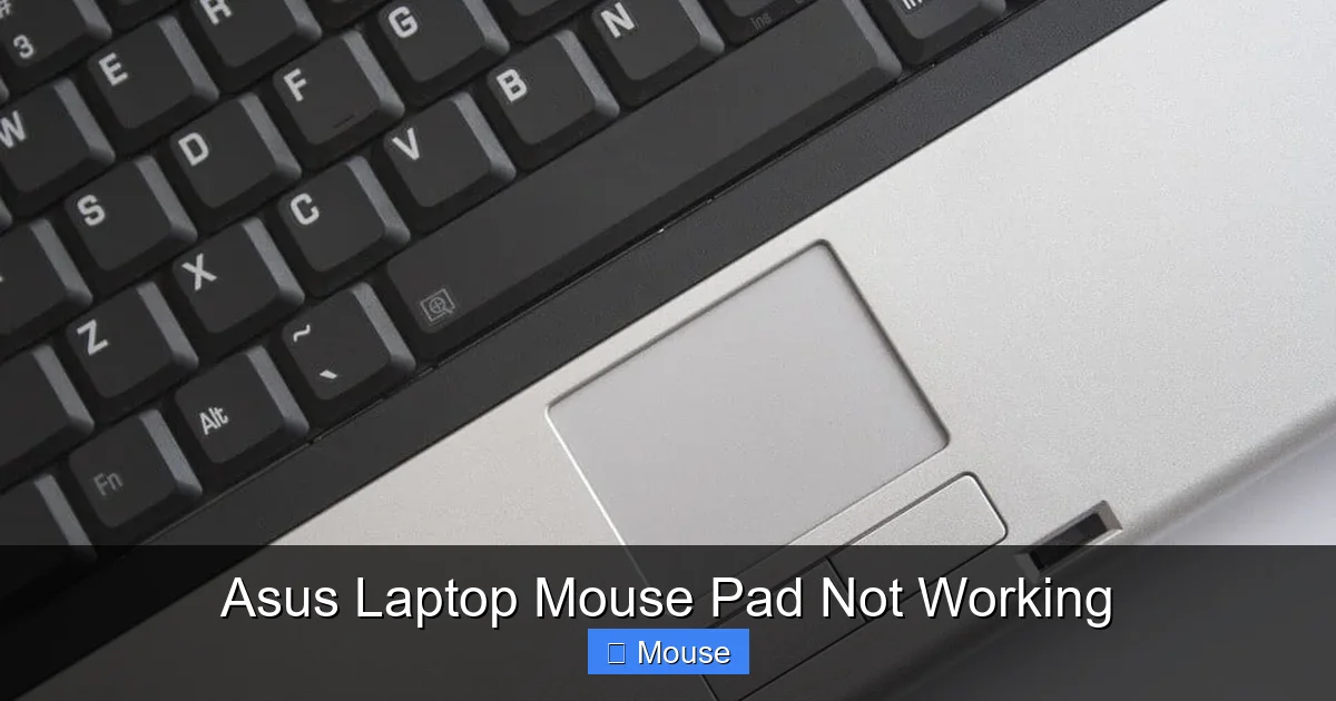 Asus Laptop Mouse Pad Not Working