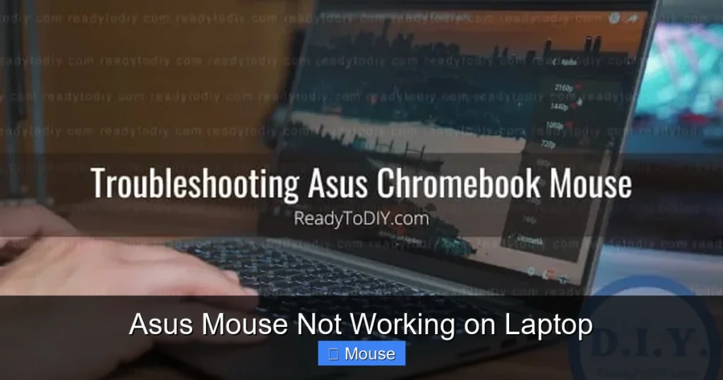 Asus Mouse Not Working on Laptop
