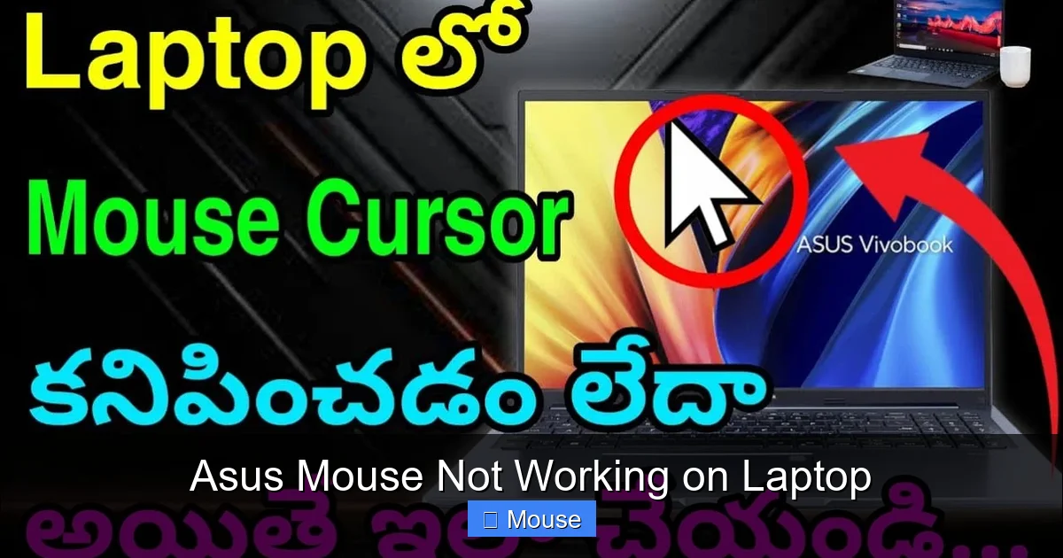 Asus Mouse Not Working on Laptop
