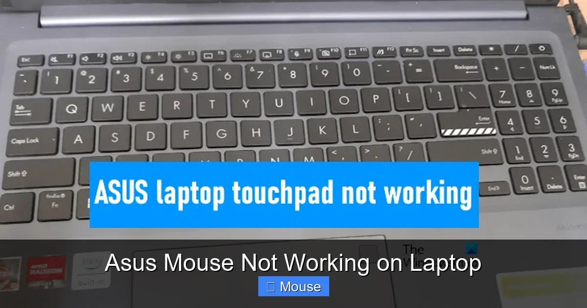 Asus Mouse Not Working on Laptop