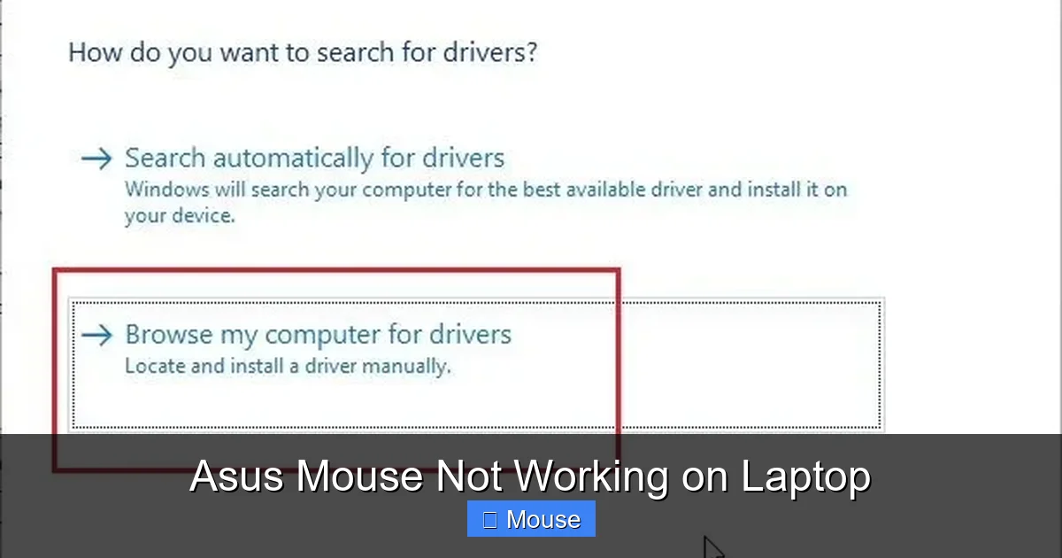 Asus Mouse Not Working on Laptop