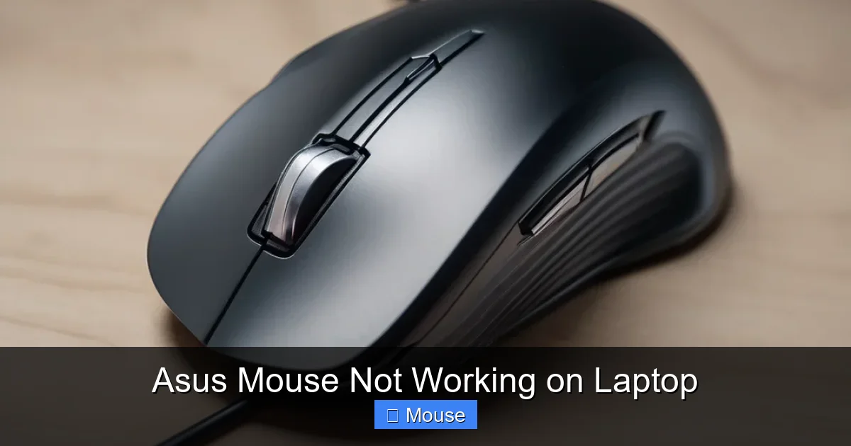 Asus Mouse Not Working on Laptop