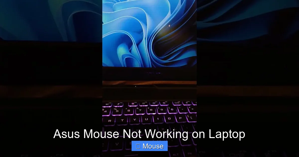 Asus Mouse Not Working on Laptop