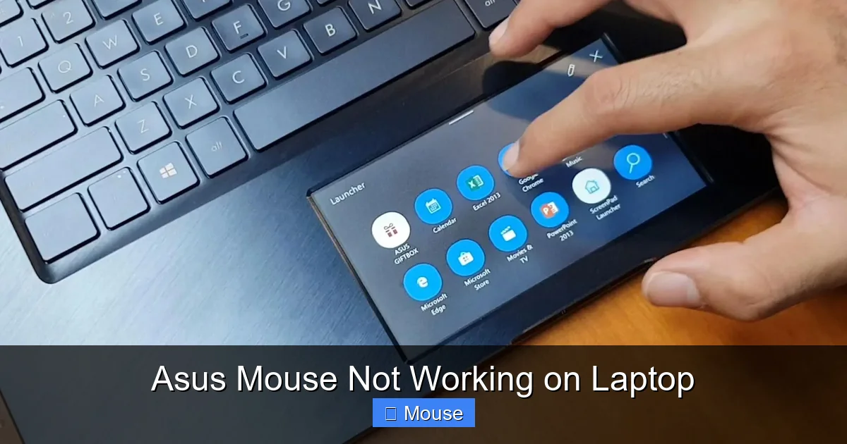 Asus Mouse Not Working on Laptop