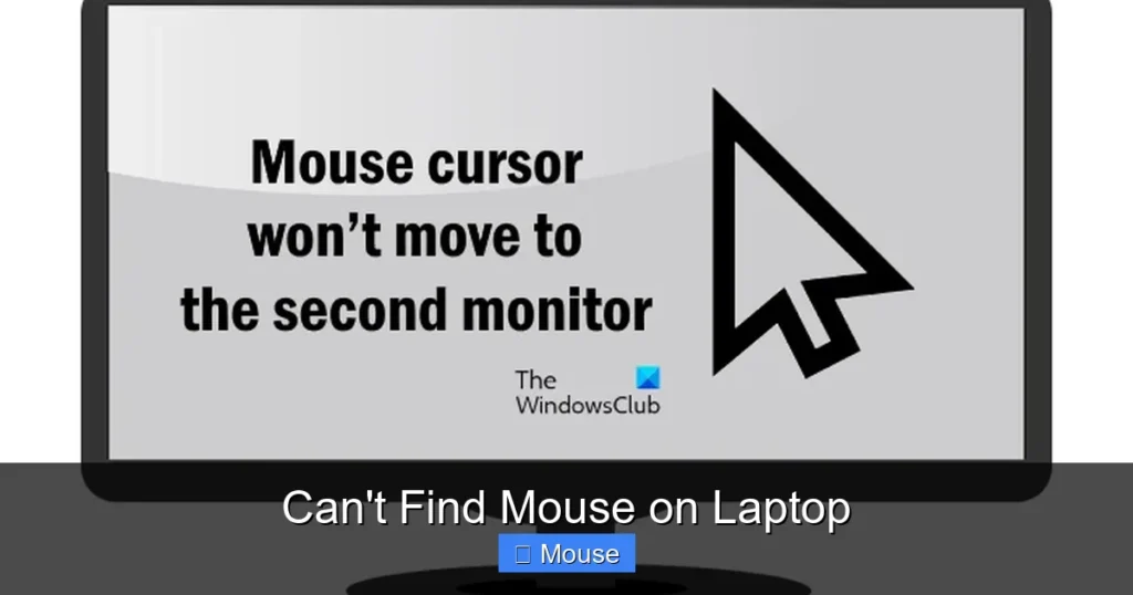 Can't Find Mouse on Laptop