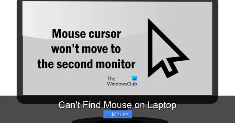 Can't Find Mouse on Laptop