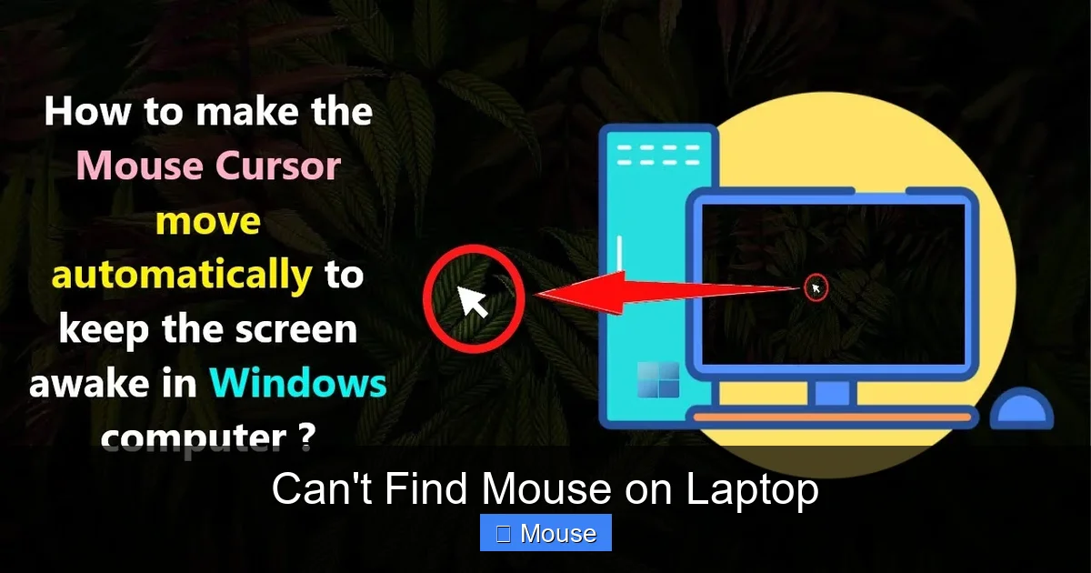 Can't Find Mouse on Laptop