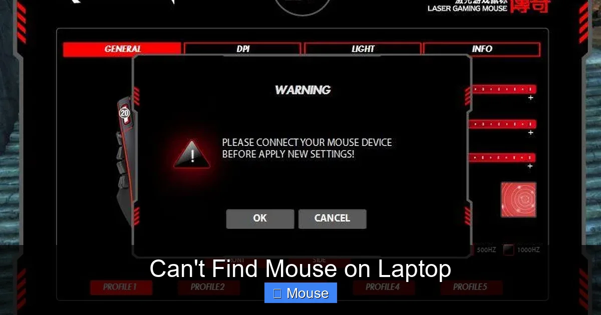 Can't Find Mouse on Laptop